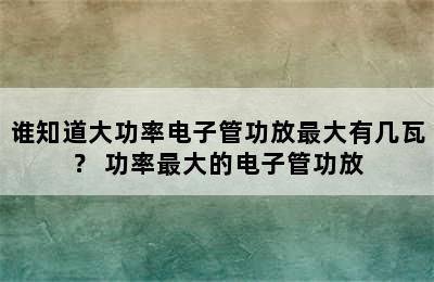 谁知道大功率电子管功放最大有几瓦？ 功率最大的电子管功放